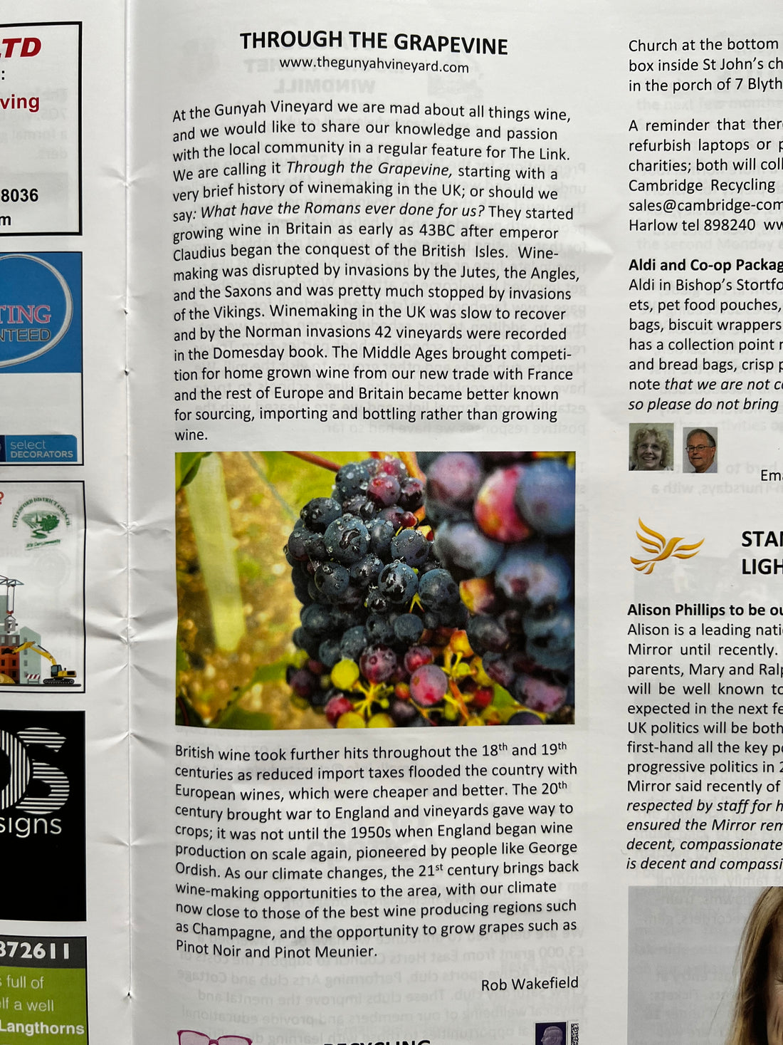 THROUGH THE GRAPEVINE 1 - HISTORY OF WINE IN ESSEX